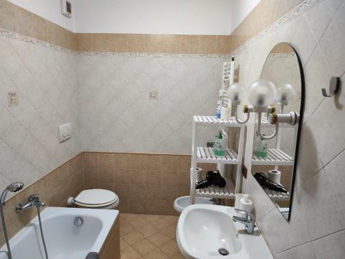 波梅齐亚Appartamento Magnolia的一间带水槽、卫生间和镜子的浴室
