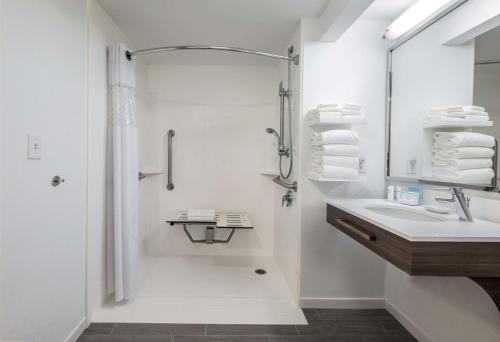 弗里波特汉普顿酒店自由港/不伦瑞克的白色的浴室设有水槽和淋浴。