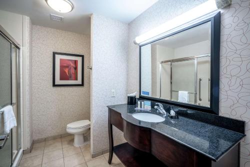 桑兹顿里士满机场希尔顿恒庭酒店的一间带水槽、卫生间和镜子的浴室