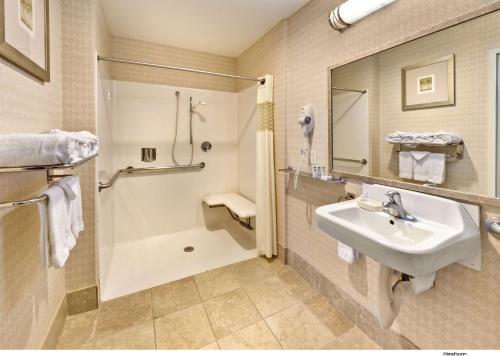 里诺里诺汉普顿酒店的一间带水槽和淋浴的浴室