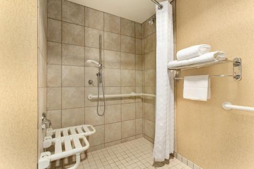 圣地亚哥圣迭戈机场自由站希尔顿惠庭套房酒店的带淋浴和步入式淋浴间的浴室