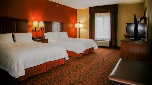 马塔莫罗斯马塔莫拉斯汉普顿酒店的酒店客房设有两张床和电视。