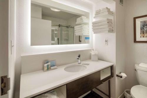 路易斯威尔路易斯维尔东北汉普顿酒店的一间带水槽、镜子和卫生间的浴室