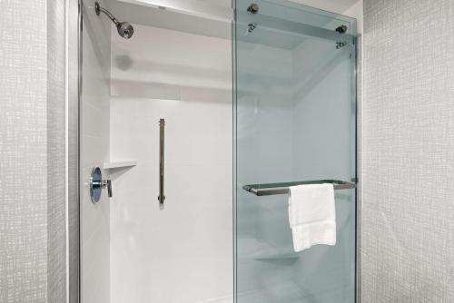 锡康克锡康克汉普顿酒店的浴室里设有玻璃门淋浴