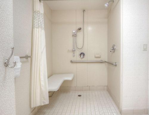 米尔皮塔斯米尔皮塔斯汉普顿酒店的带淋浴和盥洗盆的浴室