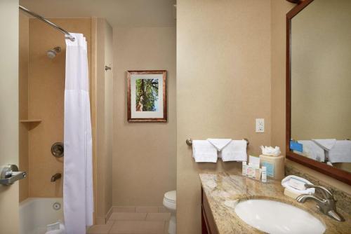 塞勒姆塞勒姆汉普顿套房酒店的一间带水槽、卫生间和淋浴的浴室