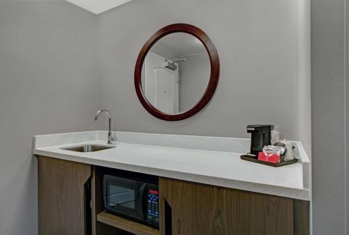 东叙拉古Hampton Inn & Suites by Hilton Syracuse Dewitt的一间带水槽和镜子的浴室