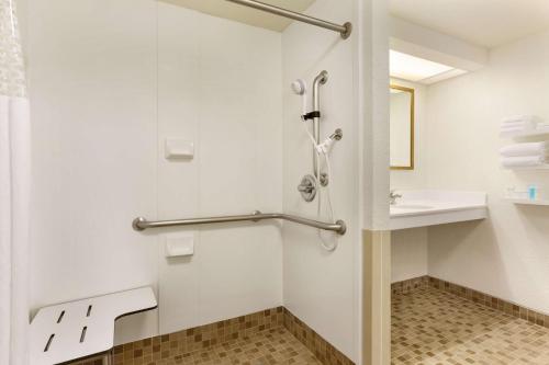 塔彭斯普林斯塔彭斯普林斯汉普顿套房酒店的带淋浴和盥洗盆的浴室