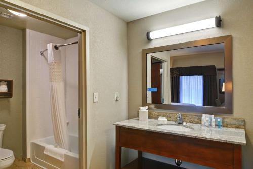 New Hartford新哈特福德/尤蒂卡汉普顿套房酒店的一间带水槽、卫生间和镜子的浴室