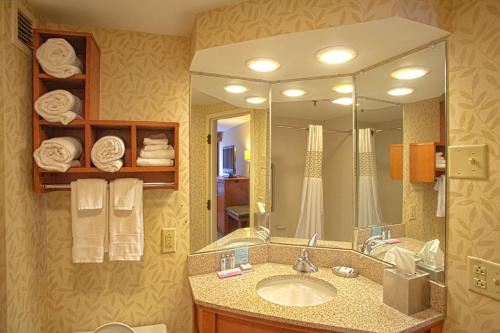 惠灵惠灵汉普顿酒店的一间带水槽和大镜子的浴室