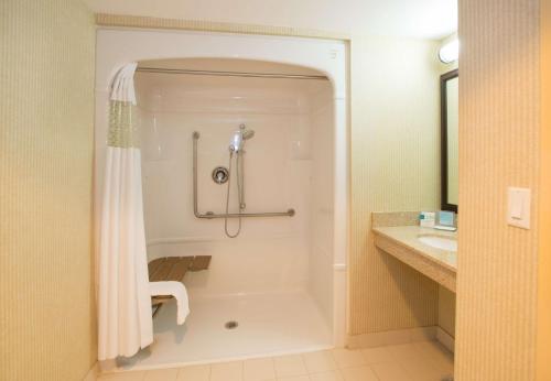 米西索加多伦多密西沙加西汉普顿酒店的带淋浴和盥洗盆的浴室