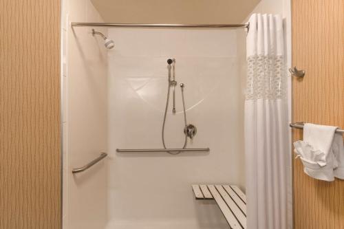 埃德蒙顿汉普顿酒店 - 埃德蒙顿南的带淋浴和浴帘的浴室