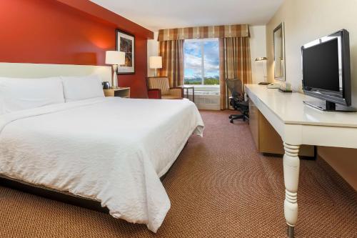 安克雷奇安克里奇希尔顿花园酒店的酒店客房配有一张床和一张书桌及一台电视