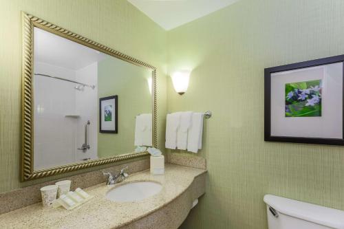 安克雷奇安克里奇希尔顿花园酒店的一间带水槽和镜子的浴室
