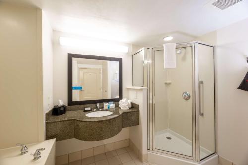 罗维莎Hampton Inn Lawrenceville Duluth的一间带水槽和淋浴的浴室
