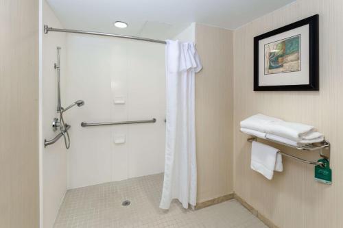 罗维莎Homewood Suites by Hilton Lawrenceville Duluth的带淋浴和浴帘的浴室