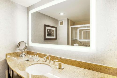 奥斯汀奥斯汀大学区双树酒店的一间带水槽和大镜子的浴室