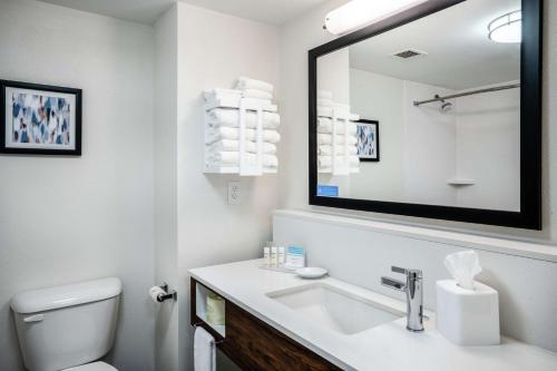 欧佩莱卡奥本地区欧佩莱卡I-85希尔顿恒庭旅馆&套房酒店的白色的浴室设有水槽和镜子