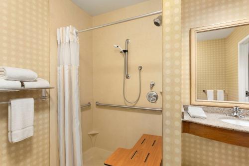 巴特尔斯维尔巴特尔斯维尔希尔顿花园旅馆的带淋浴和盥洗盆的浴室