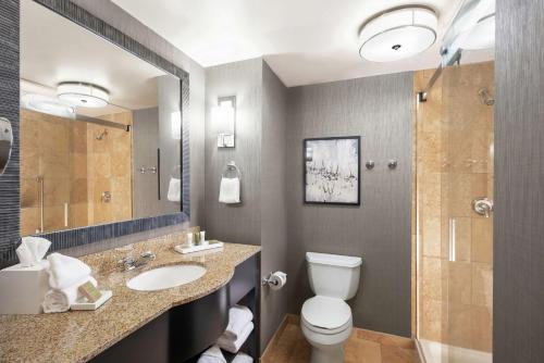 哥伦比亚哥伦比亚中心希尔顿酒店的浴室配有卫生间、盥洗盆和淋浴。