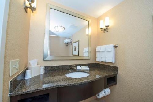 哥伦比亚哥伦比亚/东北希尔顿花园酒店的一间带水槽和大镜子的浴室