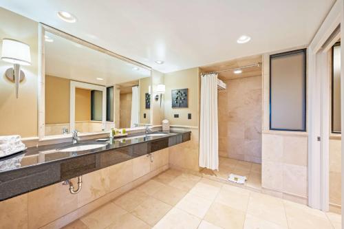 奥克布鲁克特莱斯芝加哥/奥克布鲁克特莱斯希尔顿套房酒店的一间带大水槽和淋浴的浴室