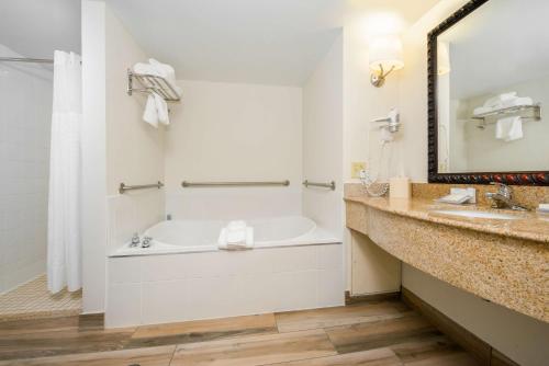 夏洛茨维尔夏洛茨维尔希尔顿花园旅馆的带浴缸、水槽和镜子的浴室