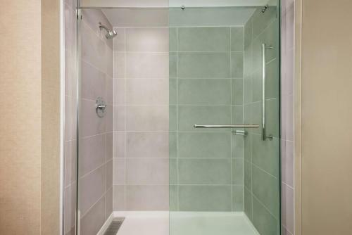 独立市Embassy Suites by Hilton Cleveland Rockside的带淋浴的浴室和玻璃门