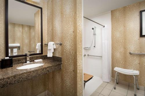 穆尔斯维尔摩尔斯维尔/夏洛特希尔顿花园酒店的一间带水槽、镜子和淋浴的浴室