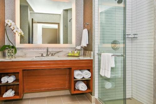 达拉斯达拉斯公园城市希尔顿酒店的一间带水槽和淋浴的浴室