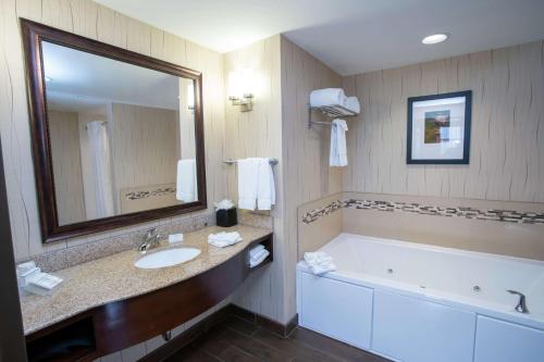Springboro代顿南 - 奥斯汀兰丁希尔顿花园酒店的带浴缸、水槽和镜子的浴室