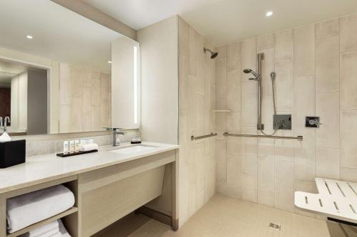 丹佛Embassy Suites by Hilton Denver International Airport的一间带水槽和淋浴的浴室
