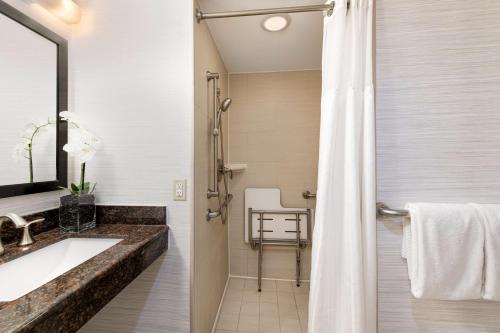 桑顿丹佛索顿希尔顿逸林酒店的一间带水槽和淋浴的浴室