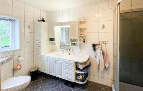 博根Beautiful Home In Bogen I Ofoten With Wifi的一间带水槽和卫生间的浴室