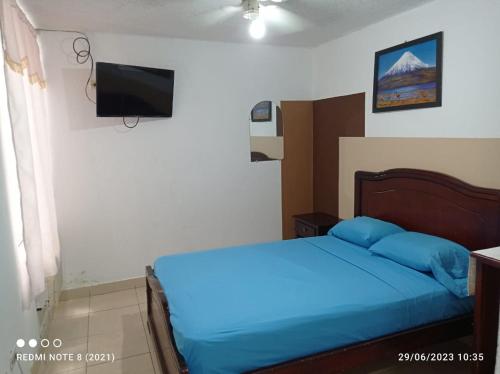 阿塔卡梅斯Hostal SAMARY的一间卧室配有蓝色的床和电视