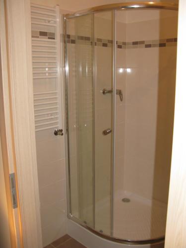 布拉格Apartment 153 - Rezidence Eliska - Prague 9的浴室里设有玻璃门淋浴