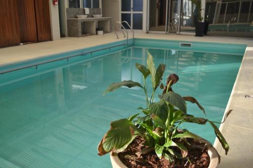 Apart IMEB spa & wellness内部或周边的泳池