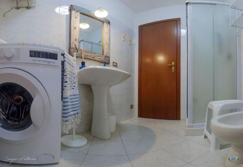 里奥内莱尔巴Cav la Ginestra vistamare Elba的一间带洗衣机和水槽的浴室