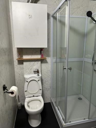 韦斯特莱Shed 100的一间带卫生间和玻璃淋浴间的浴室