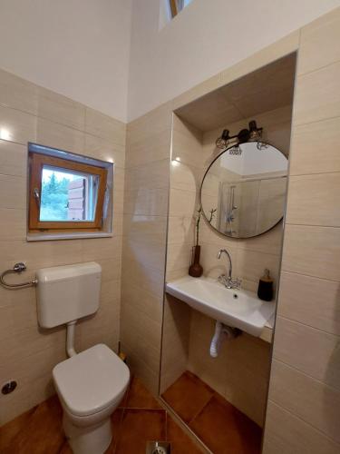 希贝尼克Olive Garden House Šibenik的一间带卫生间、水槽和镜子的浴室
