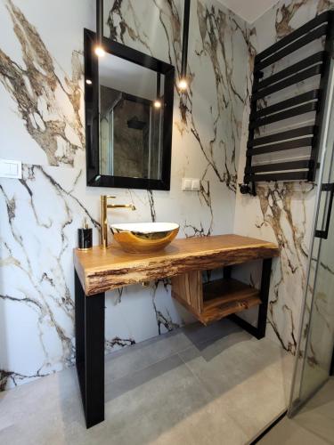 RadzyńLoveLake dom z jacuzzi的一间带木制水槽和镜子的浴室
