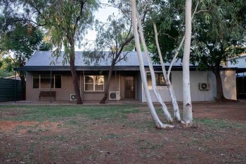 艾利斯斯普林斯4 Bedrooms, 2 Bathrooms in Alice Springs的前面有一群树木的房子