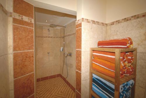 萨尔巴赫Appartements Alpin的带淋浴的浴室和玻璃门