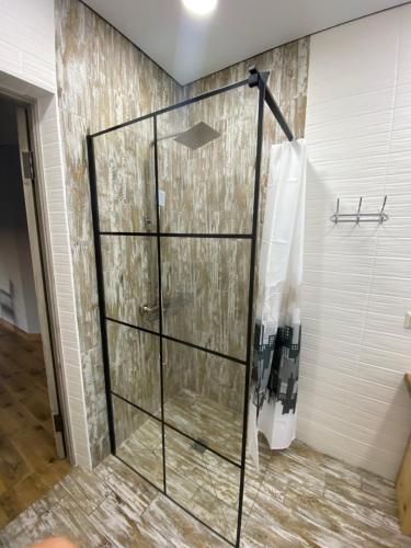卡缅涅茨-波多利斯基Ехо Природи的一间房间里带玻璃门的淋浴