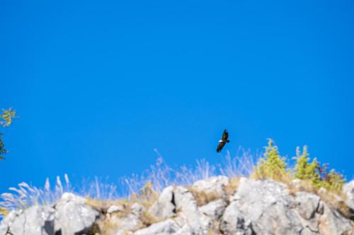VasiljićiTarsa kuća na jezeru的鸟飞过蓝天的岩石山
