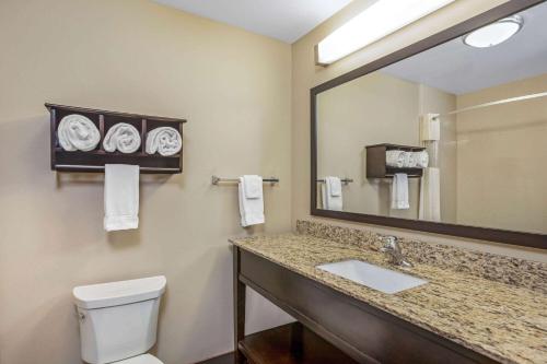 苏福尔斯苏福尔斯拉金塔旅馆及套房的一间带水槽、镜子和卫生间的浴室
