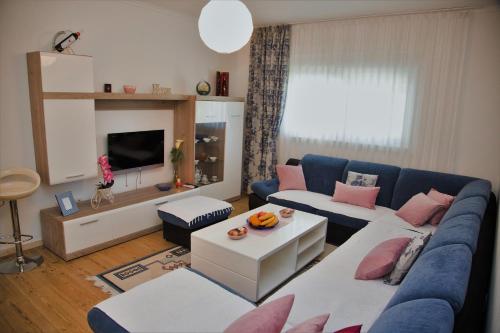 莫斯塔尔Apartman Flumen的客厅配有蓝色的沙发和粉红色的枕头。