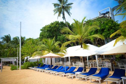 乌纳瓦图纳翠鸟酒店的海滩上的一排椅子和遮阳伞