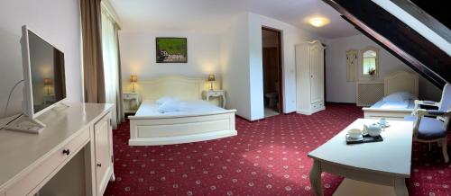 瓦特拉多尔内Pensiunea Poiana Izvoarelor的酒店客房设有两张床和一台平面电视。