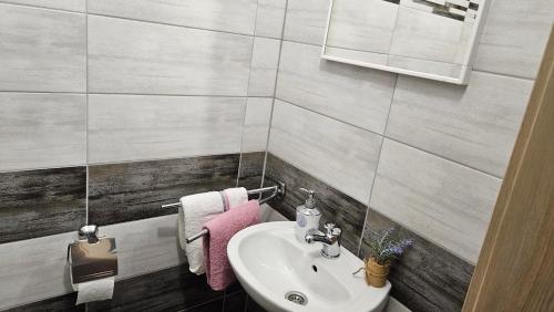 斯莫利亚纳茨Apartment Andrea的一间带水槽和粉红色毛巾的浴室